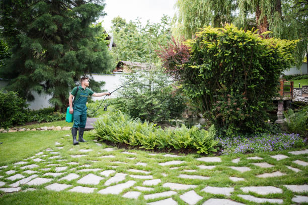 Best Pest Prevention Services  in Fairhope, AL