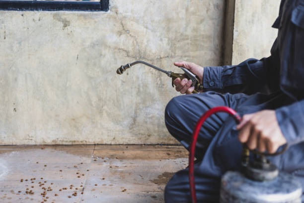 Best Termite Control Services  in Fairhope, AL